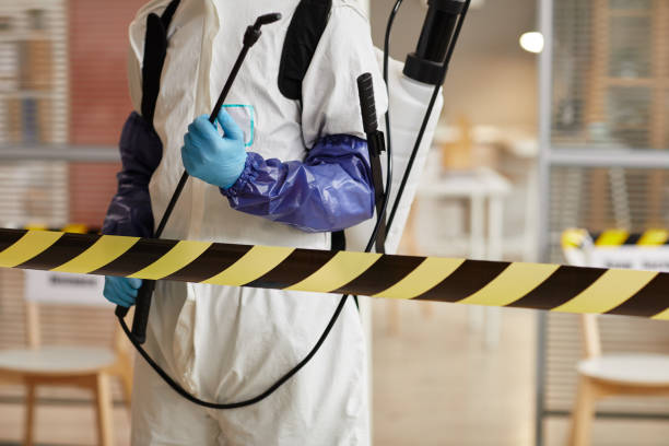 Professional Sewage Cleanup technician working in Orting, WA